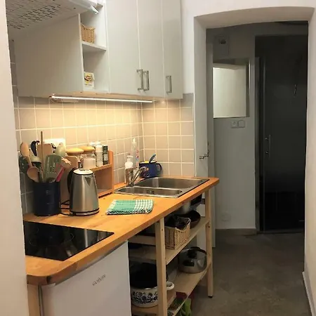 Apartment At The Golden Ram Prague